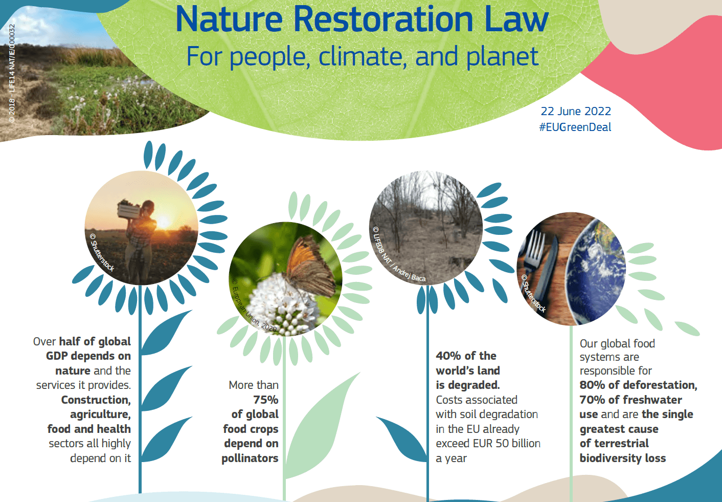 Nature restoration law, approvazione definitiva dall'UE
