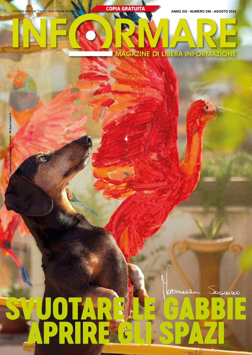 Magazine Agosto 2024
