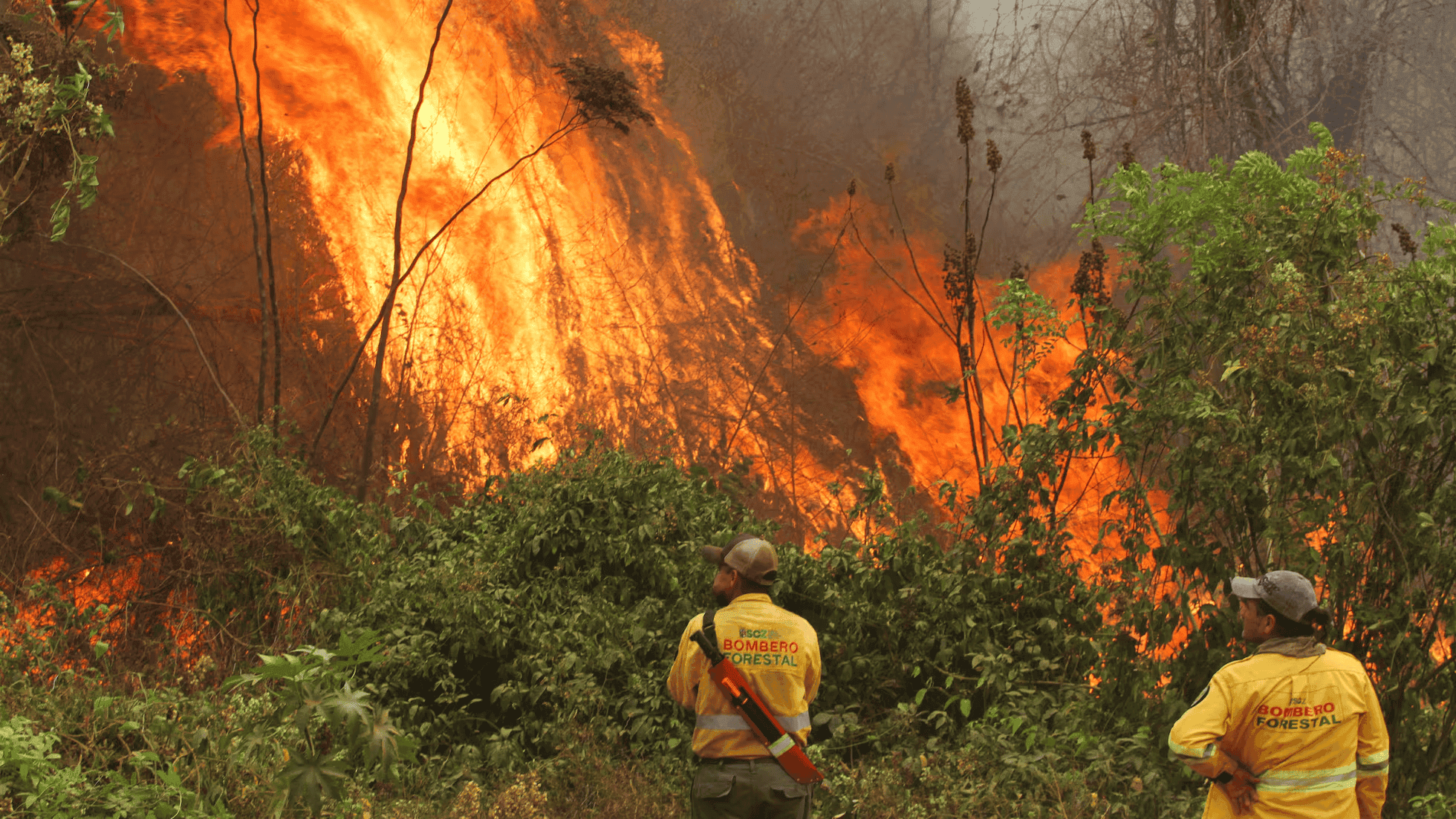 Incendi in Sud America: cosa sta accadendo