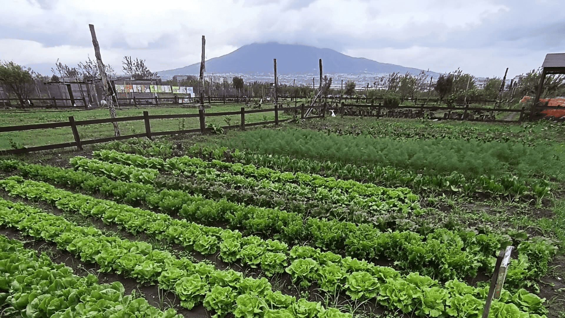 La storia della Masseria Ferraioli, uno spazio riappropriato