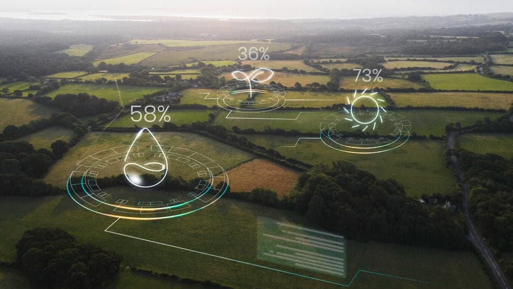 Linee guida per lo sviluppo del piano di monitoraggio e controllo ai sensi del Codice dell’Ambiente