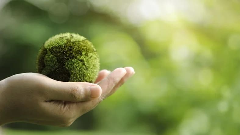 Le 14 proposte di Legambiente per un futuro più green
