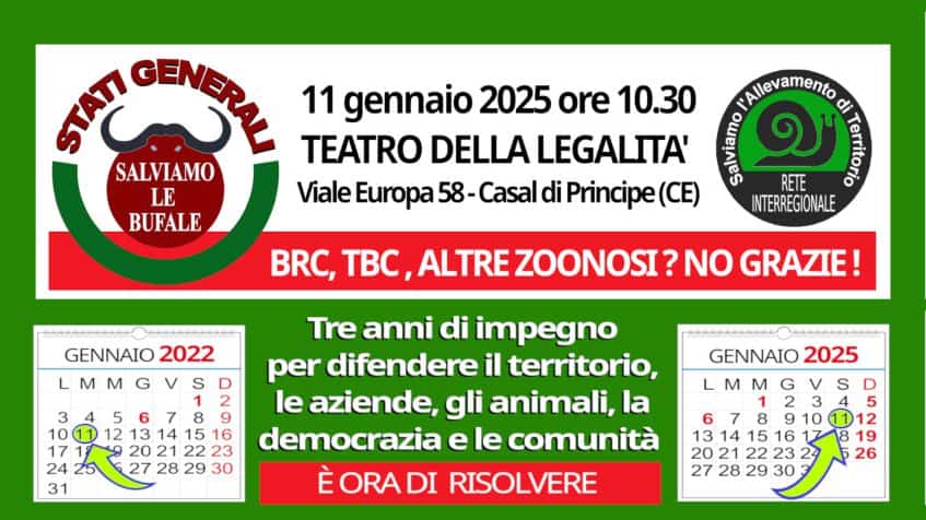 Immagine articolo