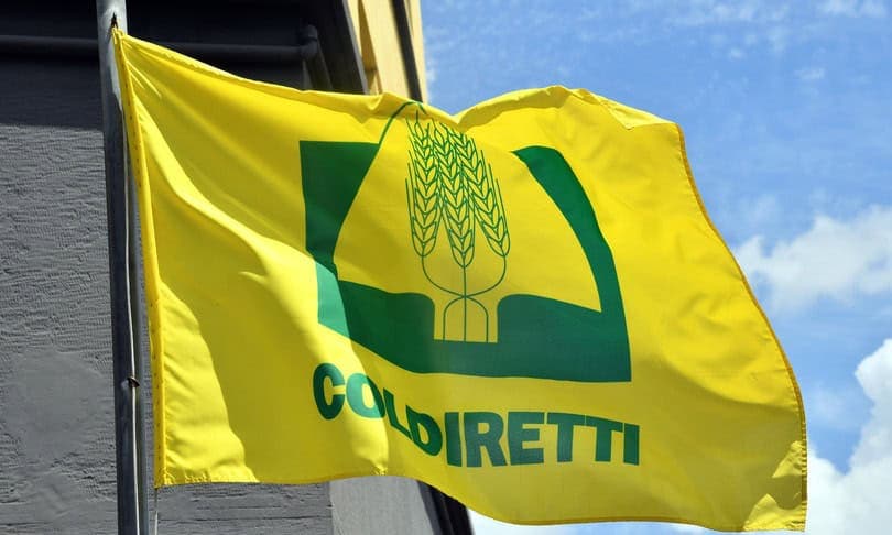 Stop al cibo spazzatura: l'allarme di Coldiretti Campania