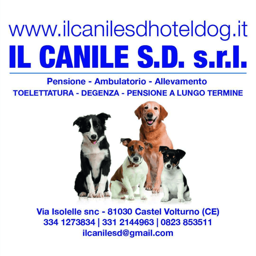 Il Canile S:D. S.R.L.