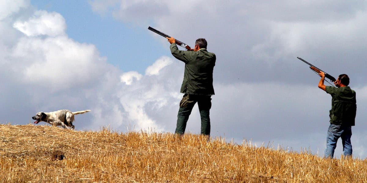 L'Italia cambia le regole sulla caccia