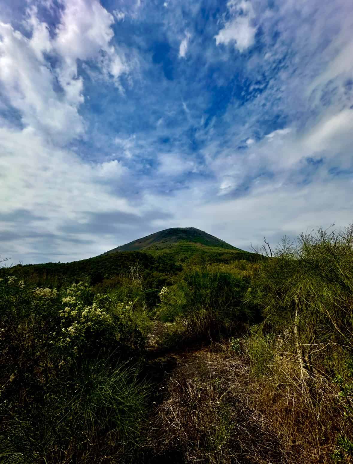Il Parco Nazionale del Vesuvio: 30 anni di natura, tutela e rinascita