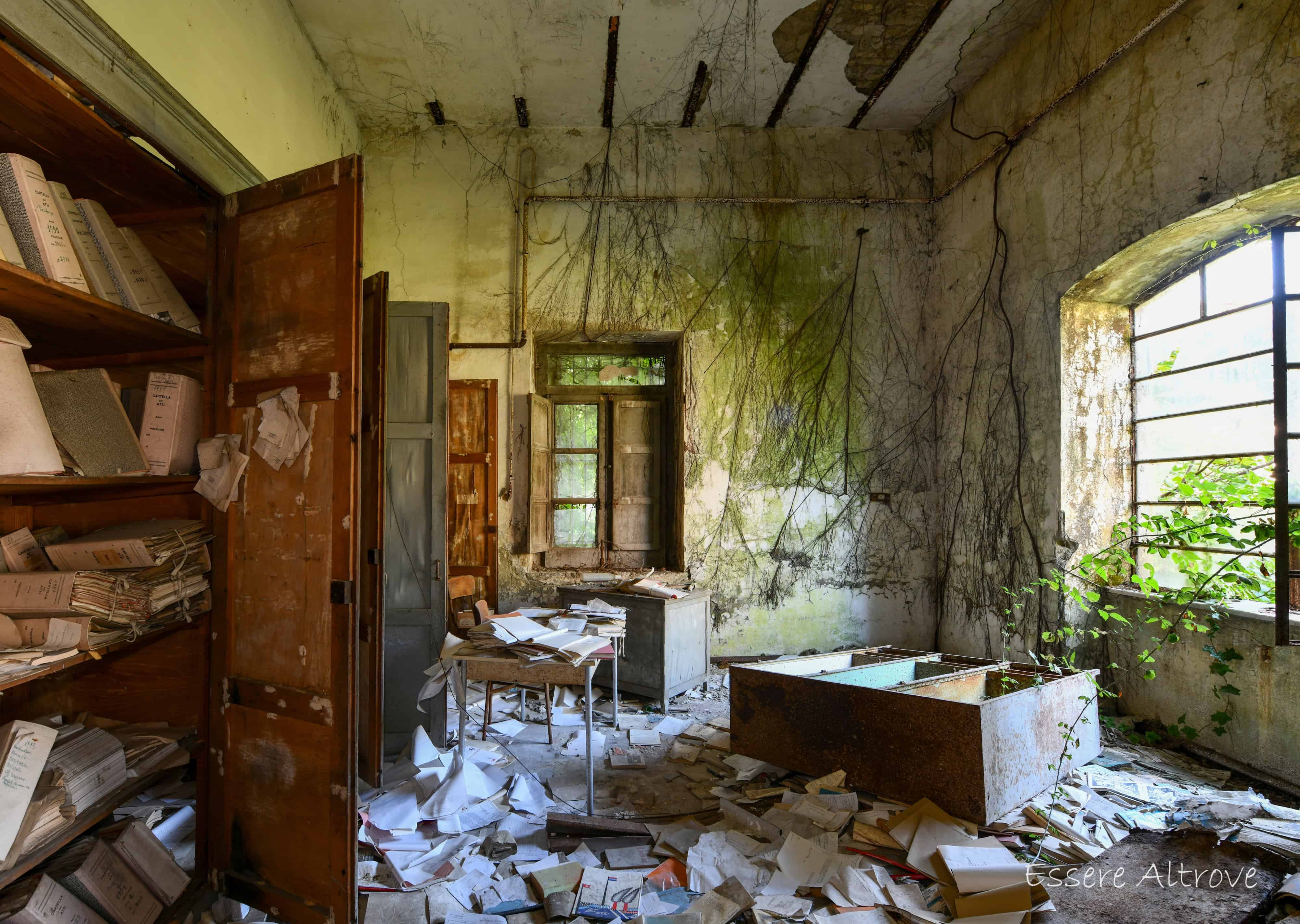 Immagine articolo