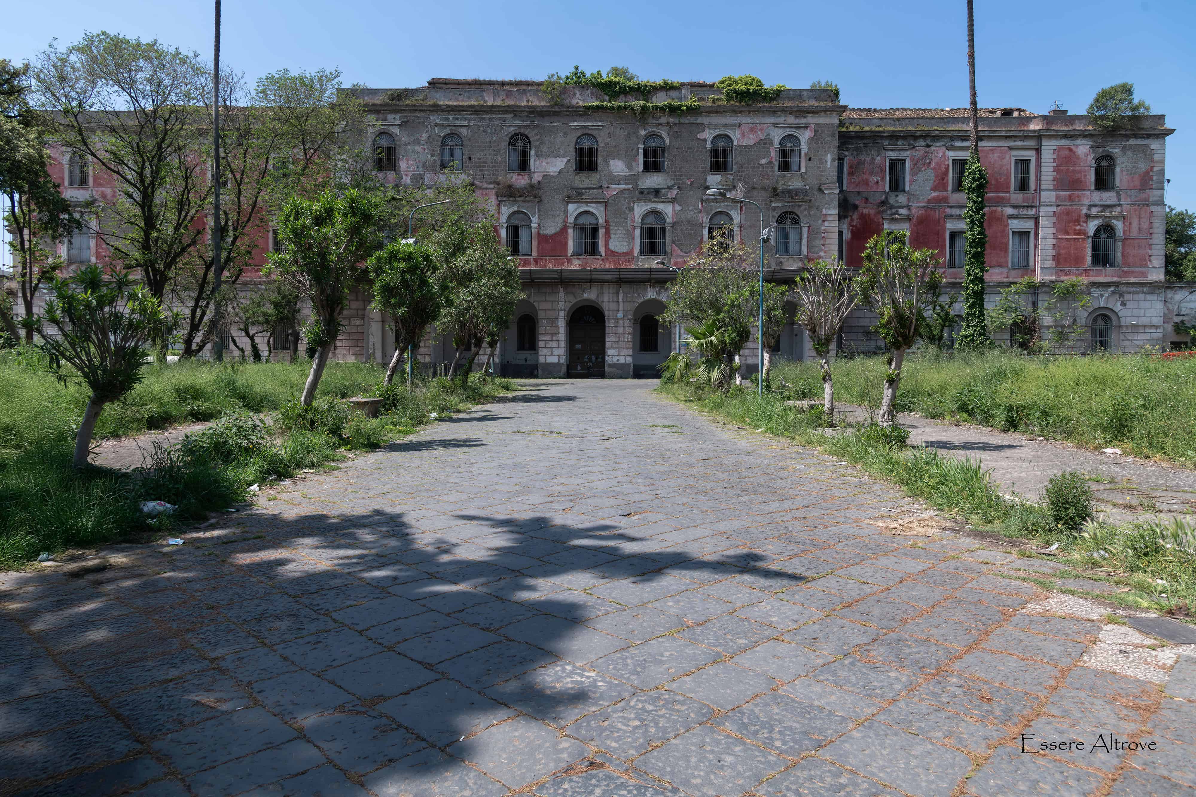 Immagine articolo