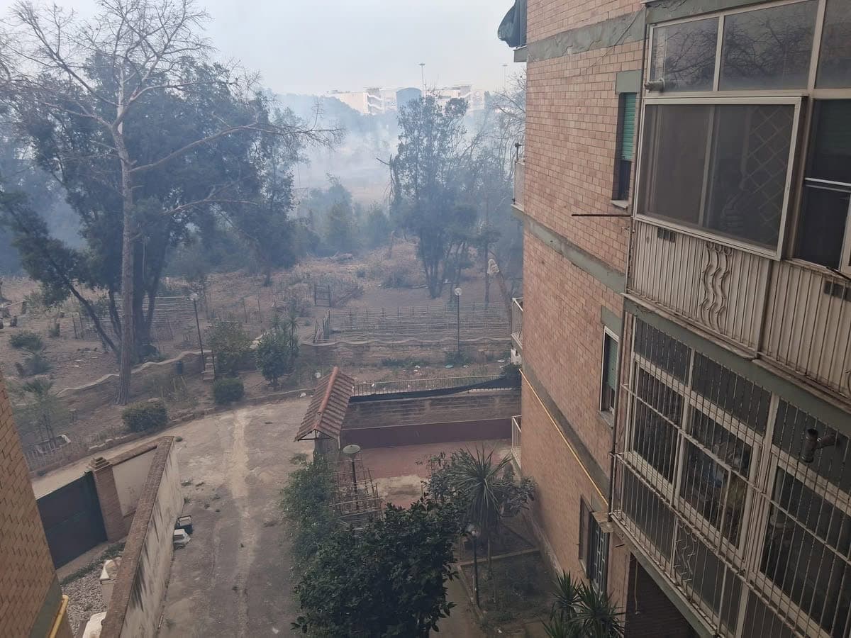 Castel Volturno, incendio nella pineta di Villaggio Coppola