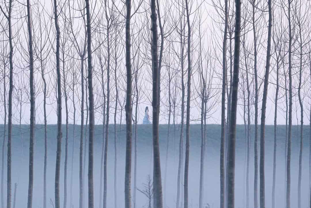 Immagine articolo