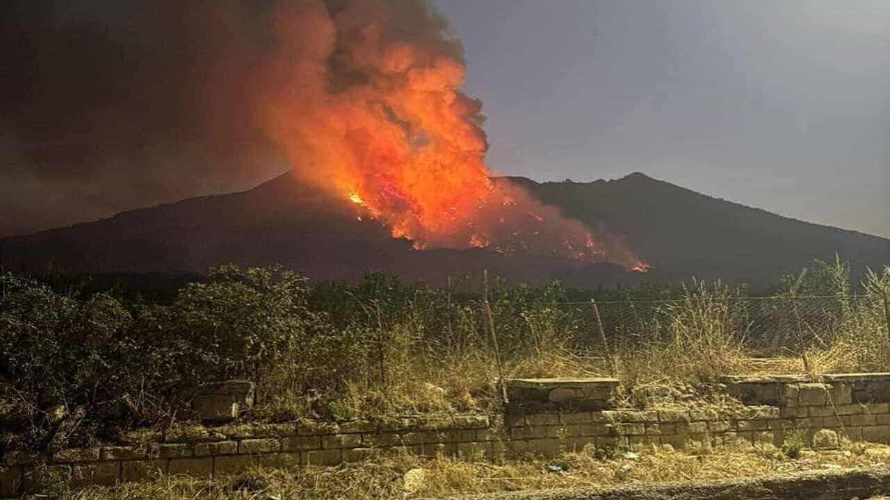 Incendi sul Vesuvio: la situazione, le cause e come aiutare la fauna