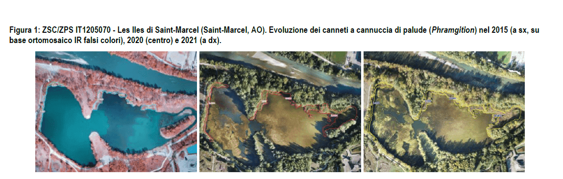 Immagine articolo