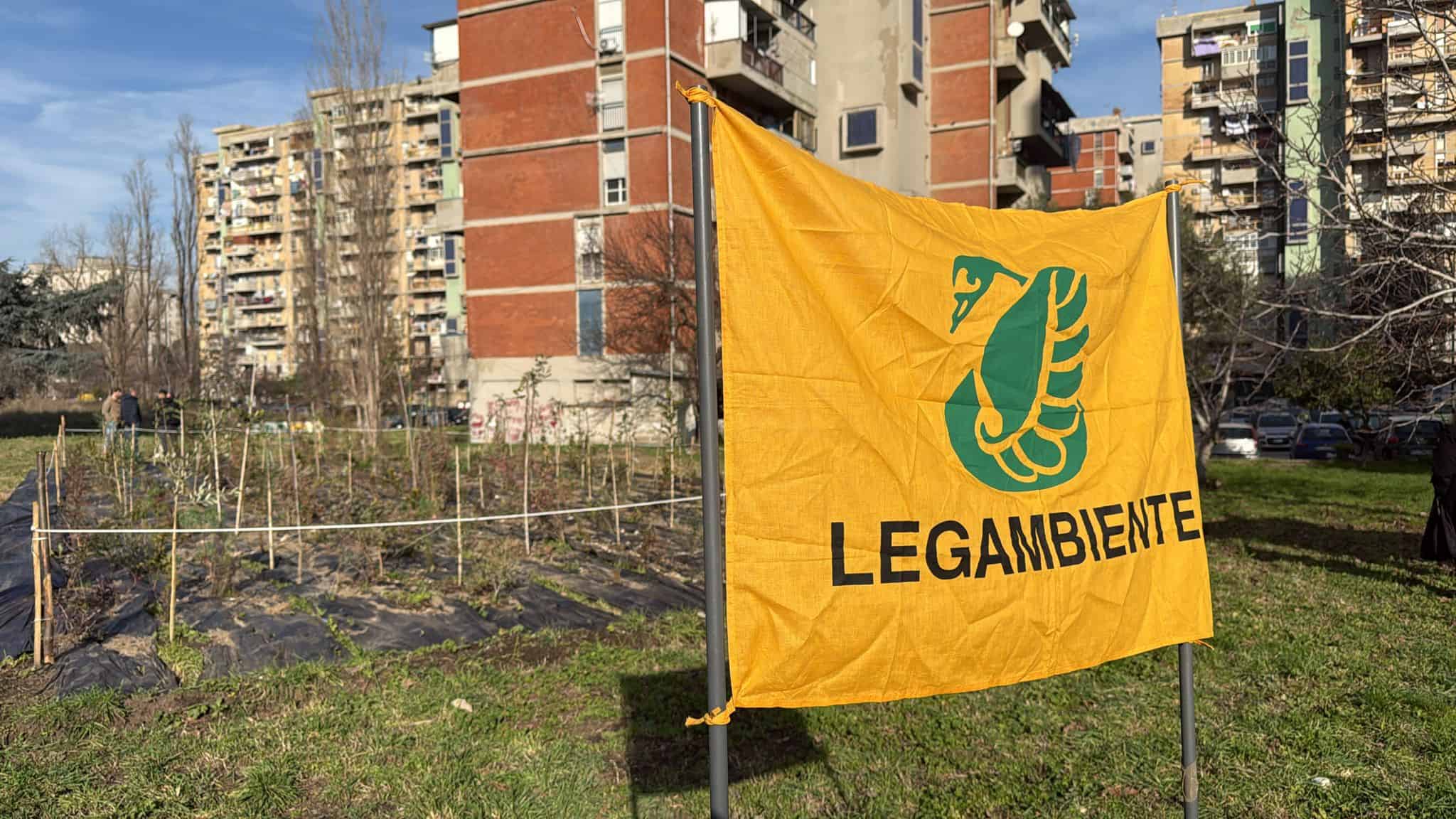 Scampia torna a respirare con la prima microforesta di comunità