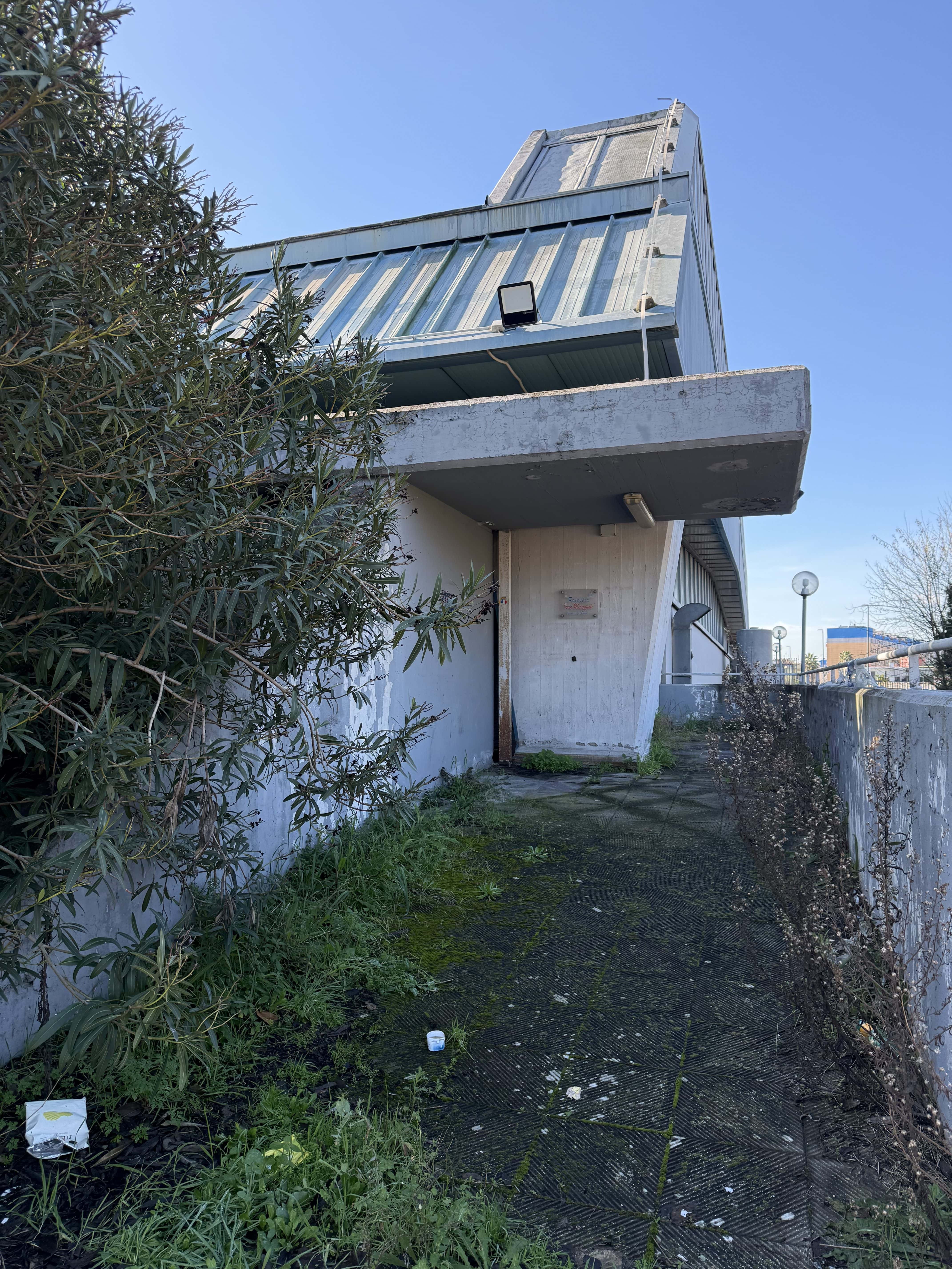 Immagine articolo