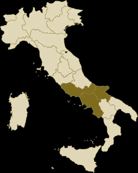 Immagine articolo