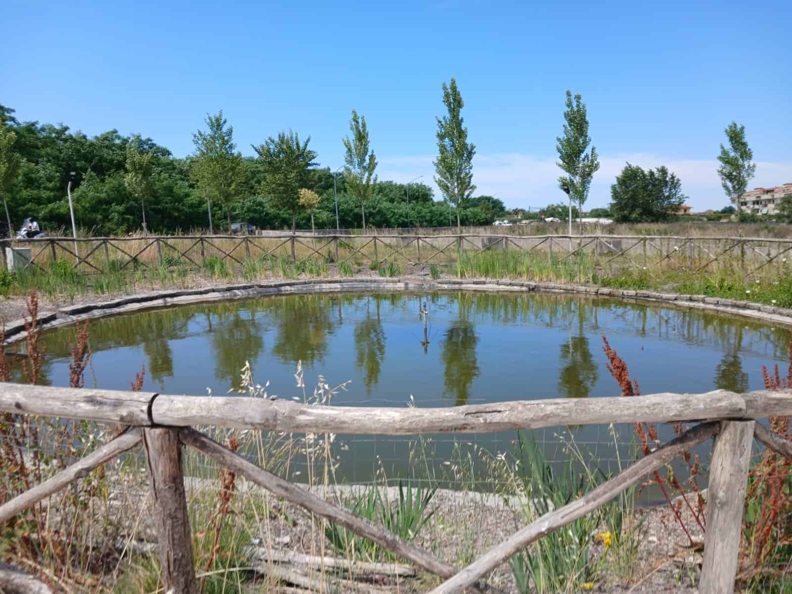 Aversa: il biolago abbandonato nella periferia