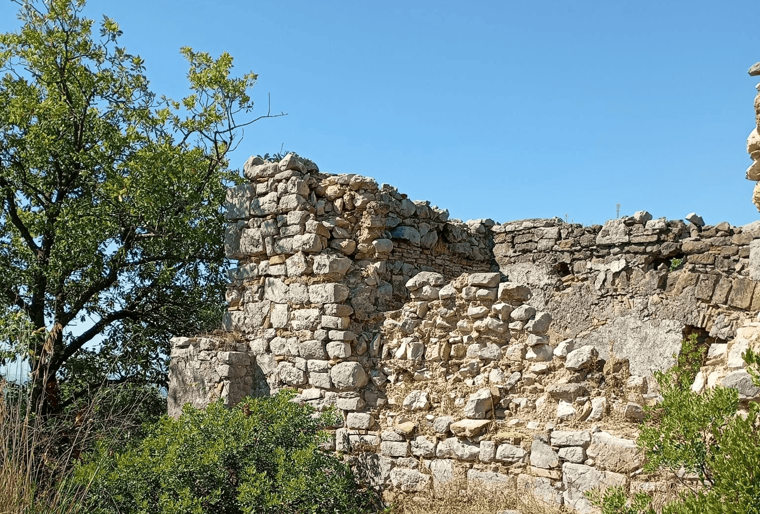 Falciano del Massico: gli scavi archeologici presso la Villa romana Macerone