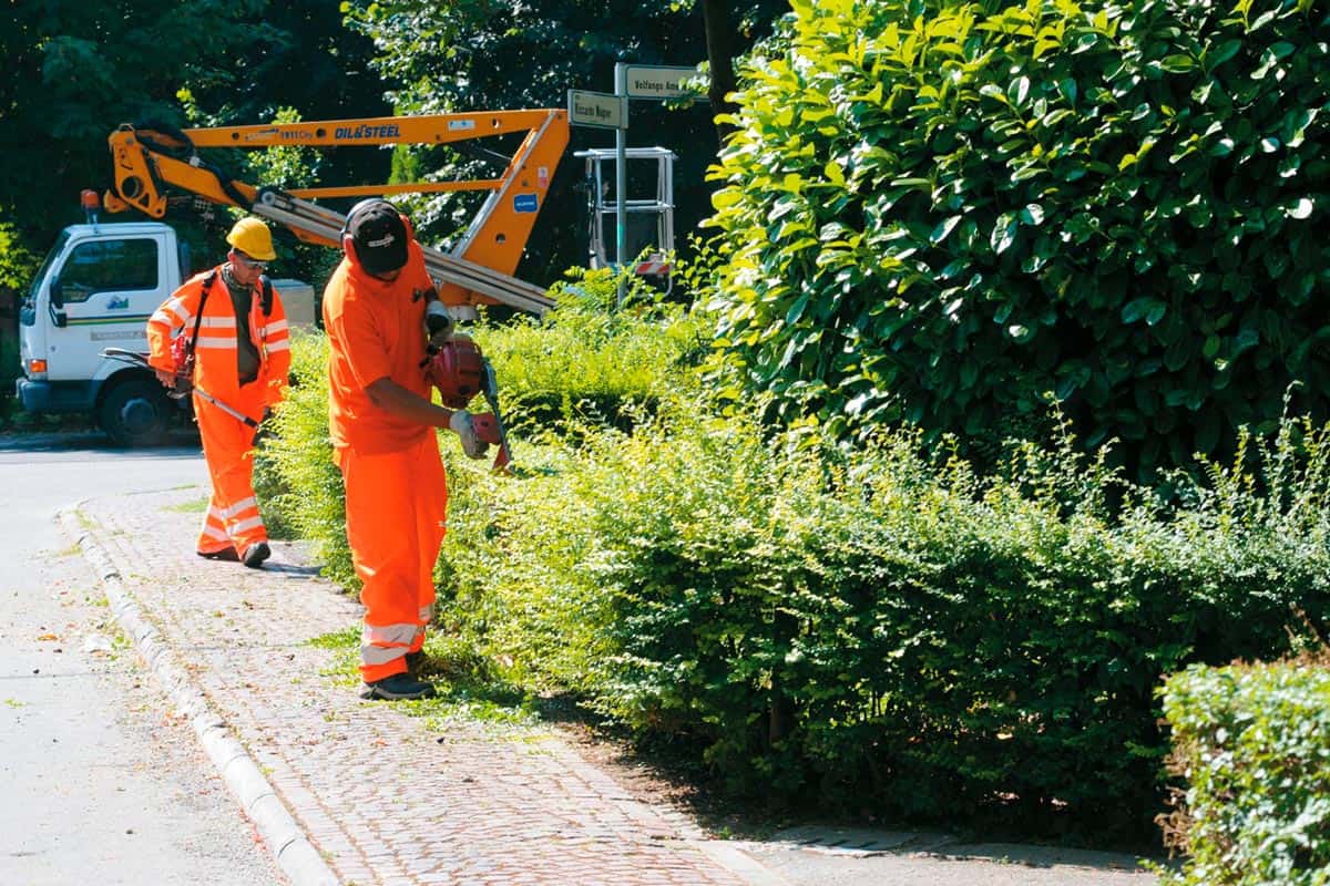 Castel Volturno, Puli-san srl finisce la manutenzione verde pubblico