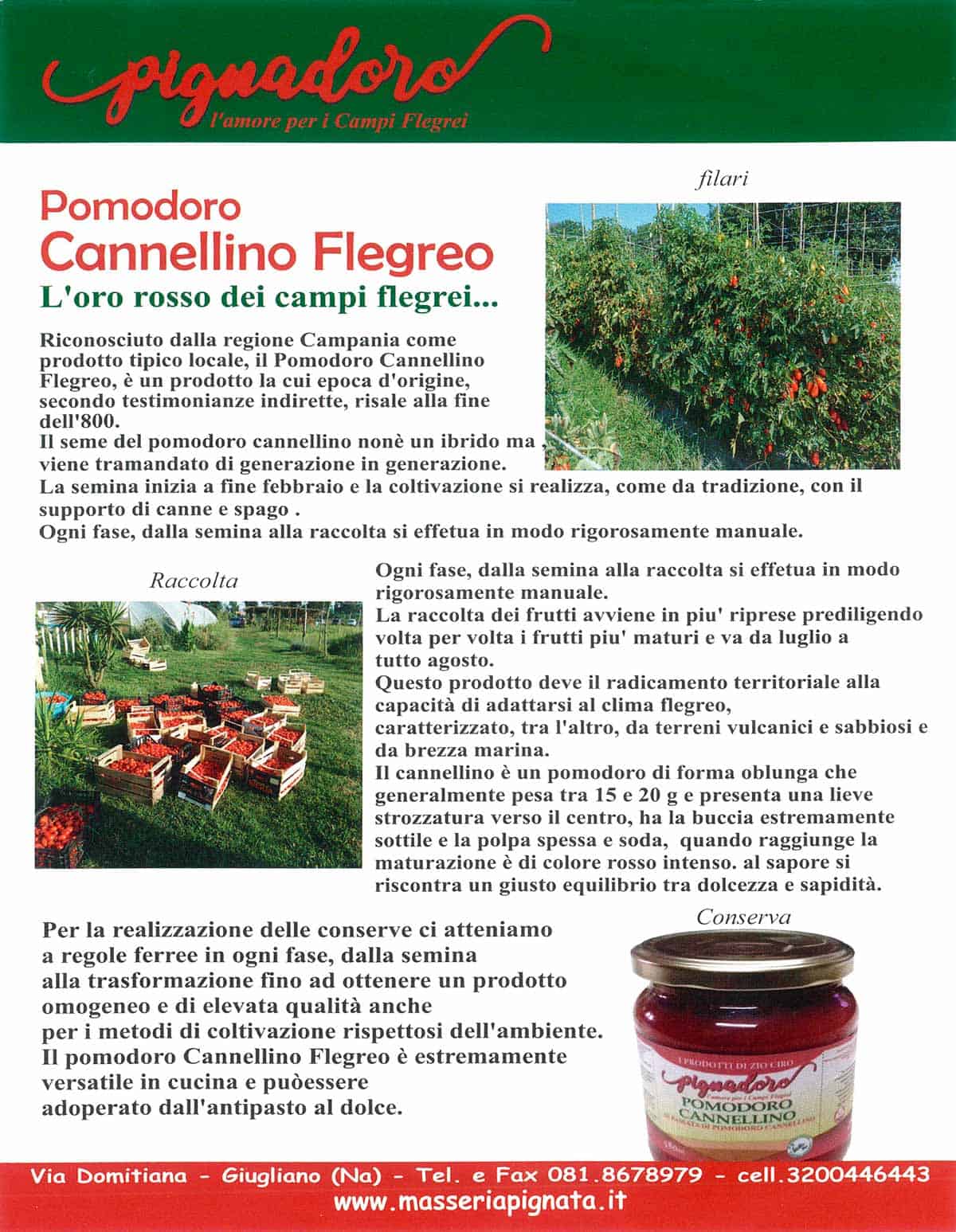 informareonline-pomodorino_cannellino-1