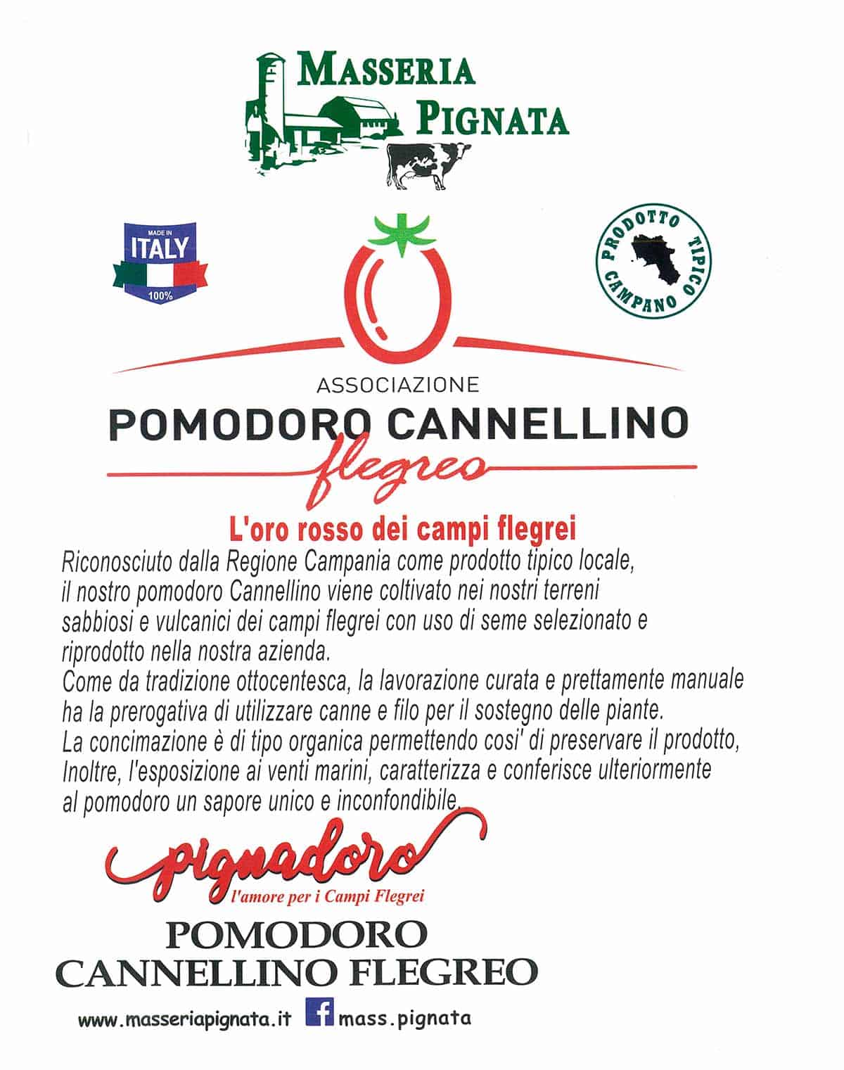 informareonline-pomodorino_cannellino-3