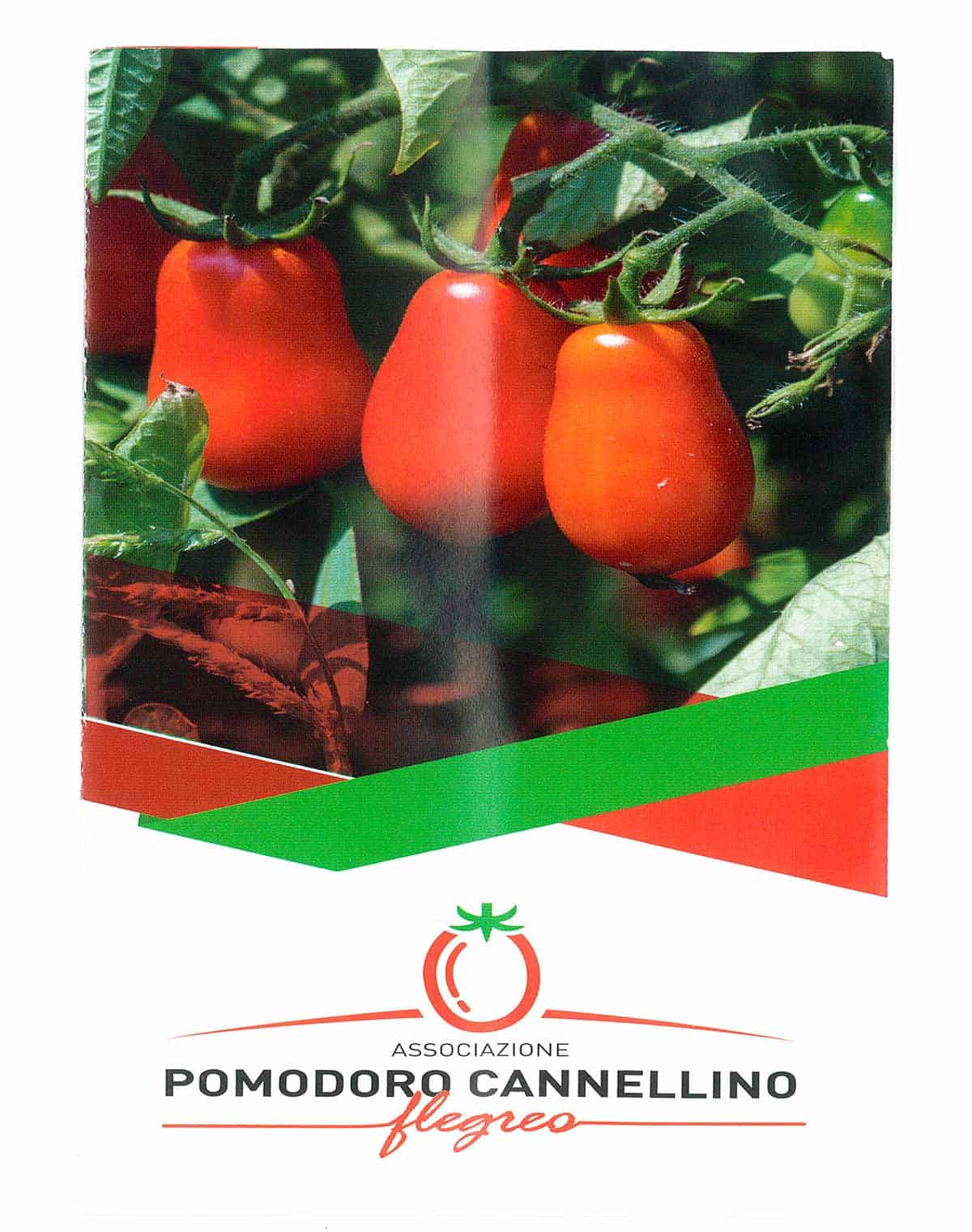 informareonline-pomodorino_cannellino-4