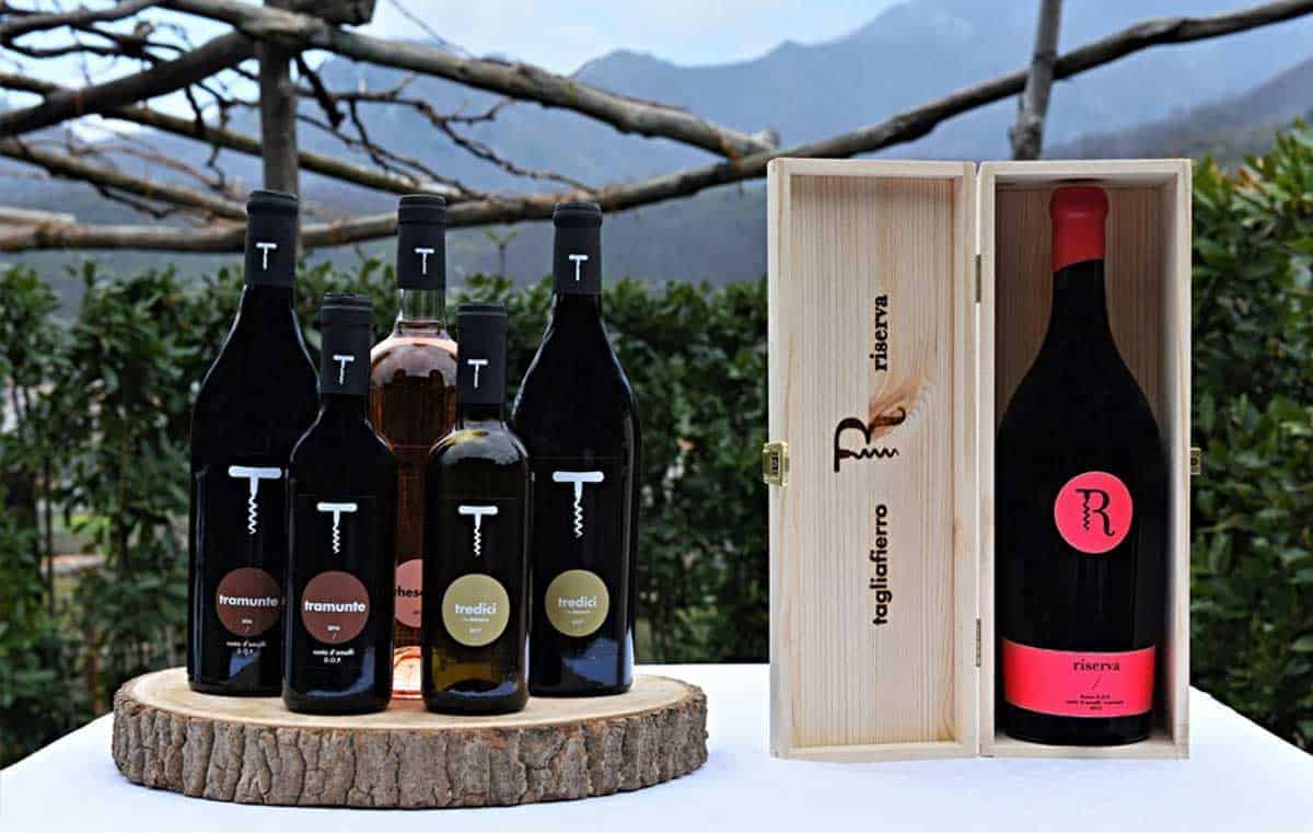 Una domenica alla Cantina Tagliafierro