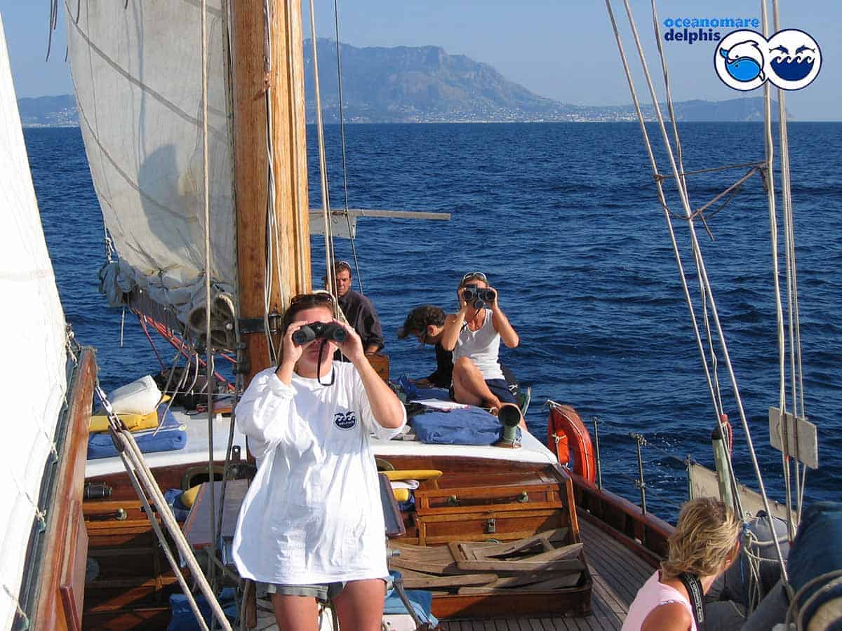 informareonline-ischia-dolphin-project-2