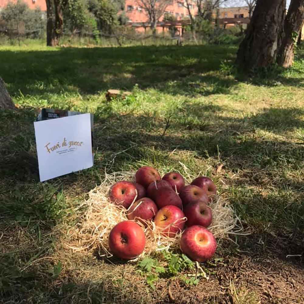 Fattoria Fuori di Zucca: esaltare il bello ed il buono della Campania Felix.