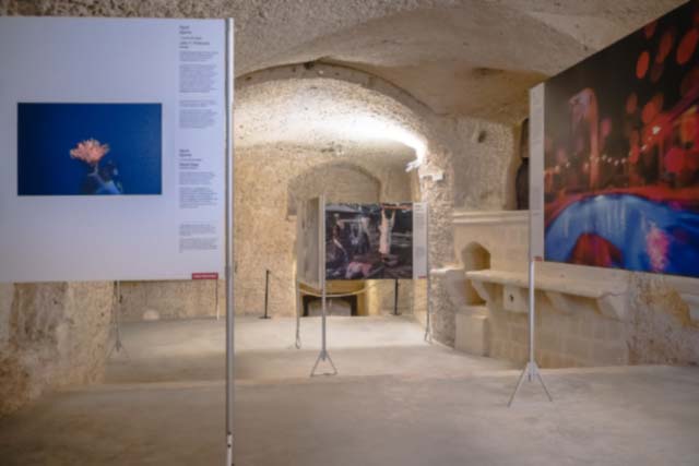 MATERA E IL WORLD PRESS PHOTO 2019
