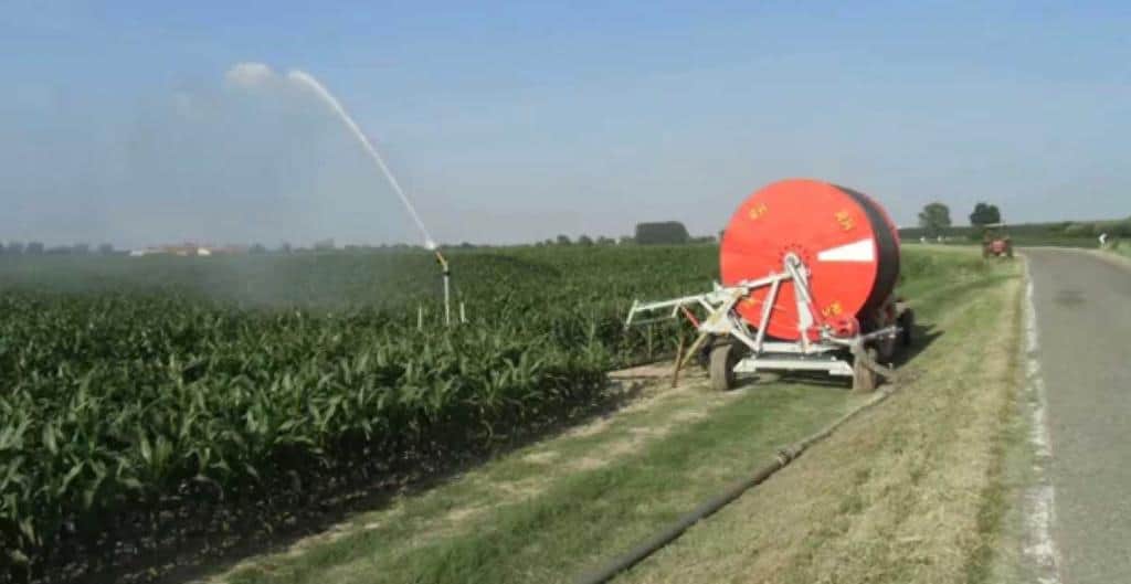 Acqua di irrigazione: utile per i campi agricoli, pericolo per la circolazione