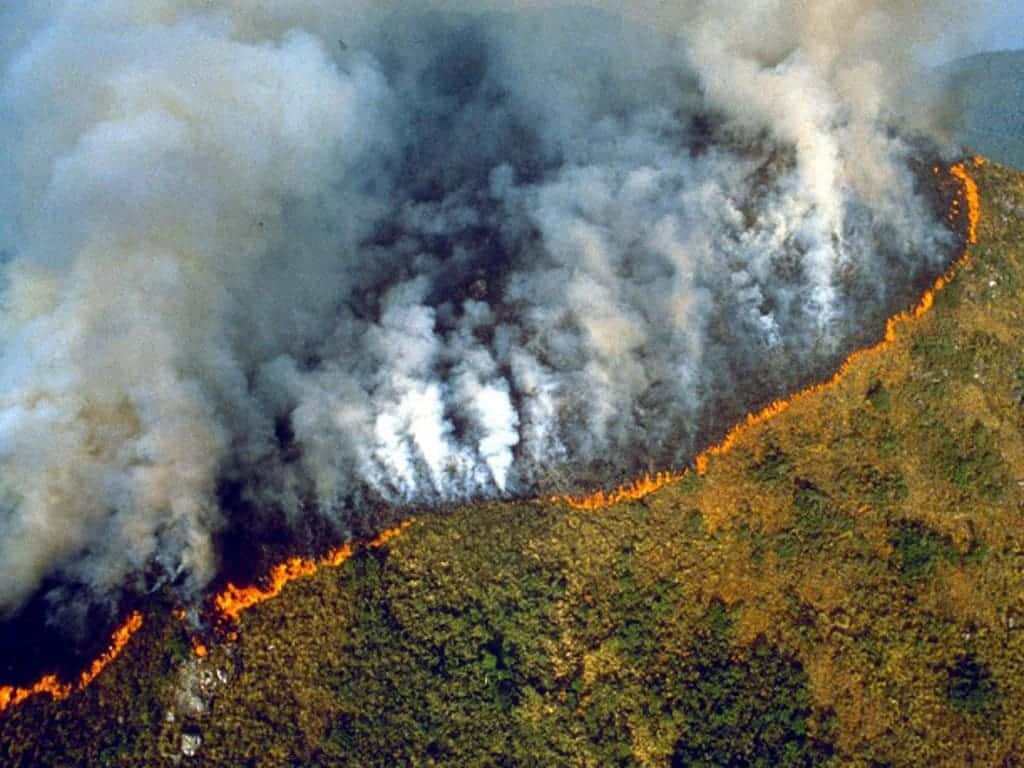 Amazzonia: cosa sta accadendo?