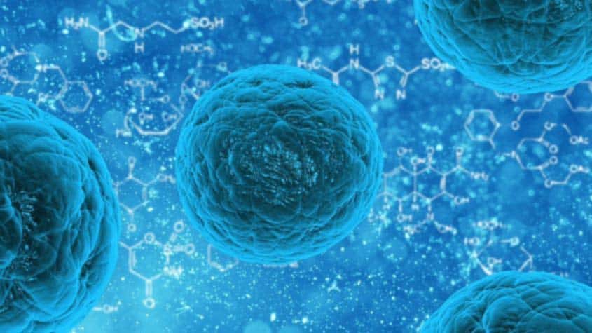 Terapia trapiantologica con cellule staminali ematopoietiche cordonali
