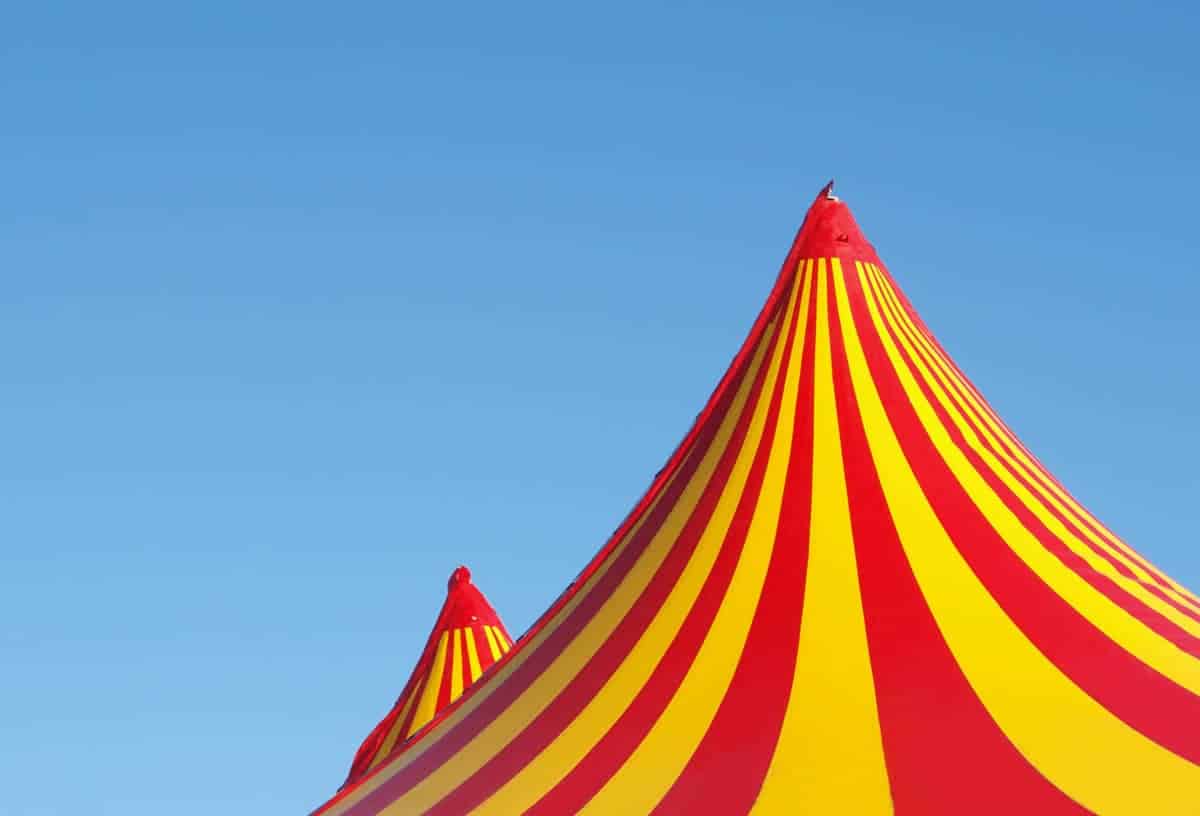 Progetto Fantasy Circus: viva il circo senza animali!