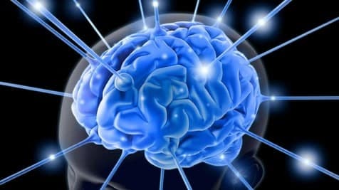 informare_online_brain_2