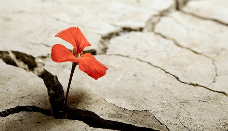 informare_online_resilienza_5