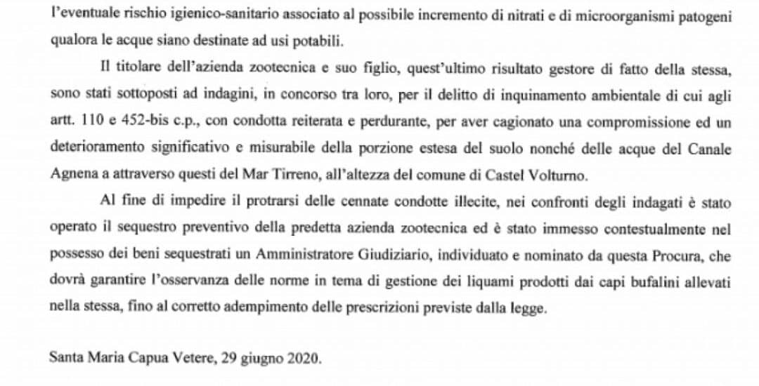 Immagine articolo