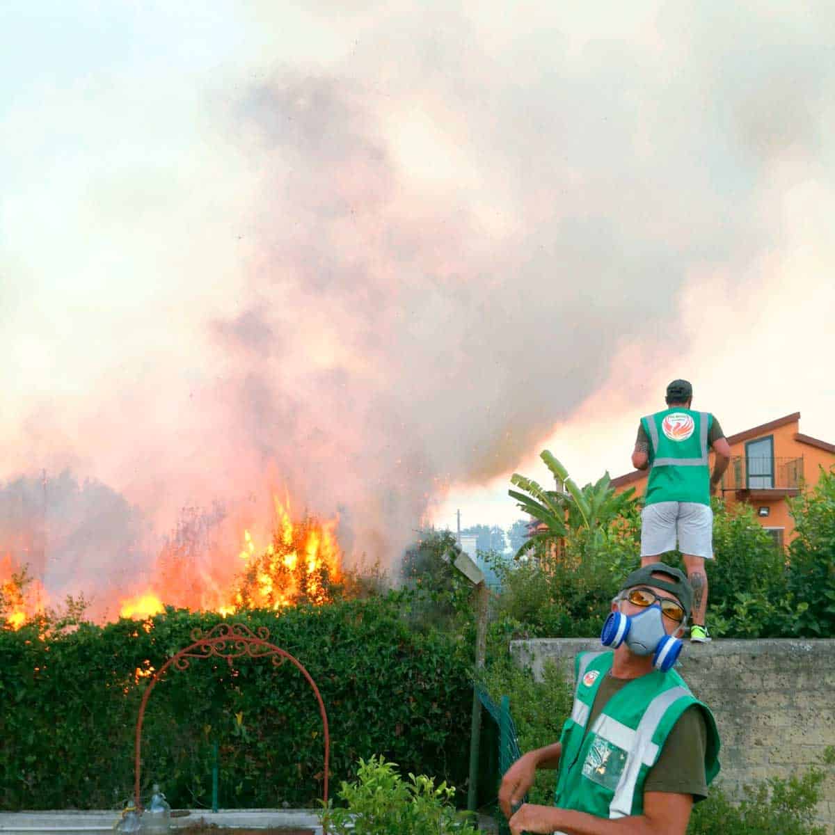 informareonline-fire-angels-3