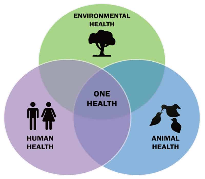 informare_magazine_zoonosi_health