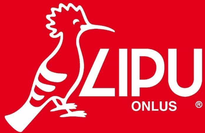 La LIPU costantemente attiva contro il bracconaggio