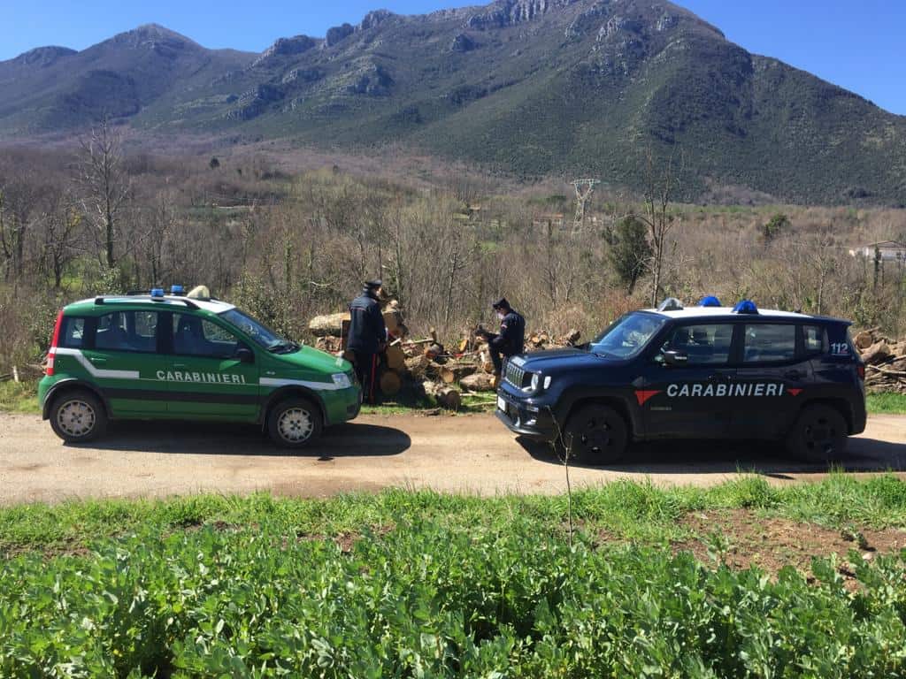 Mignano Monte Lungo: utilizzazione boschiva priva di autorizzazione