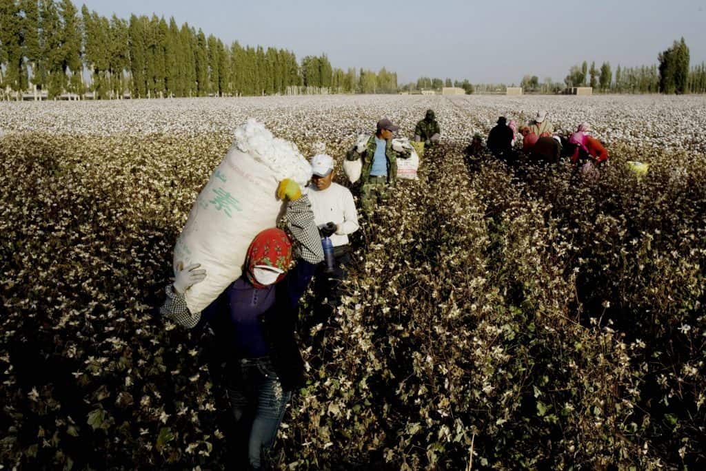 La Cina boicotta i brand occidentali