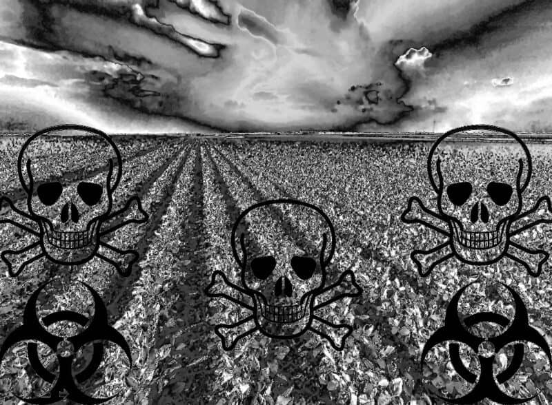 Contaminati 3000 ettari di terreni agricoli del Nord Italia