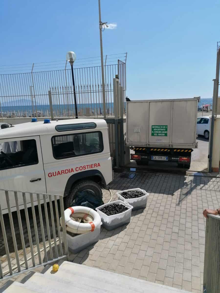 Castel Volturno: sequestrati oltre 400 kg di mitili