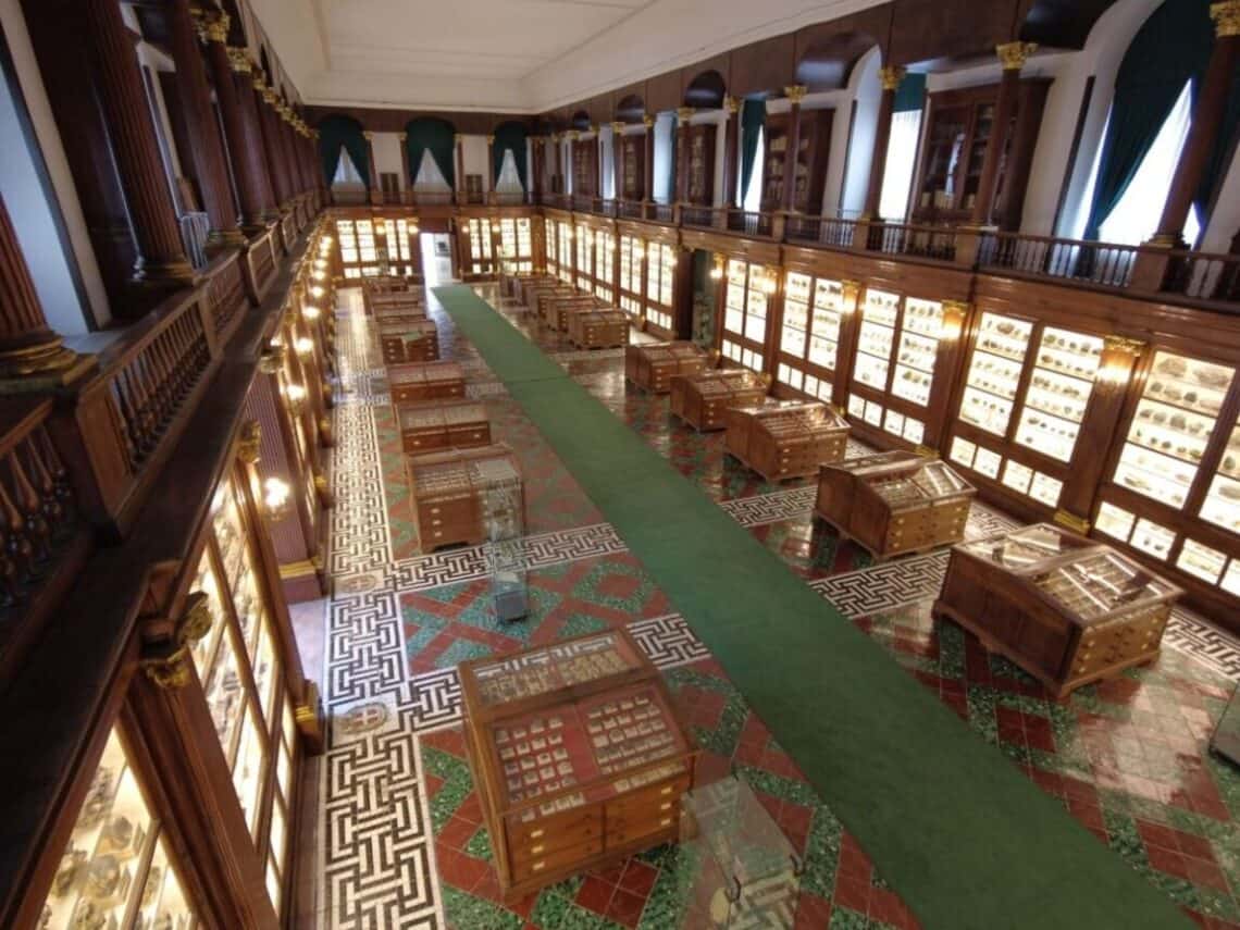 Centro Musei delle Scienze Naturali e Fisiche: intervista al Professor Pergiulio Cappelletti