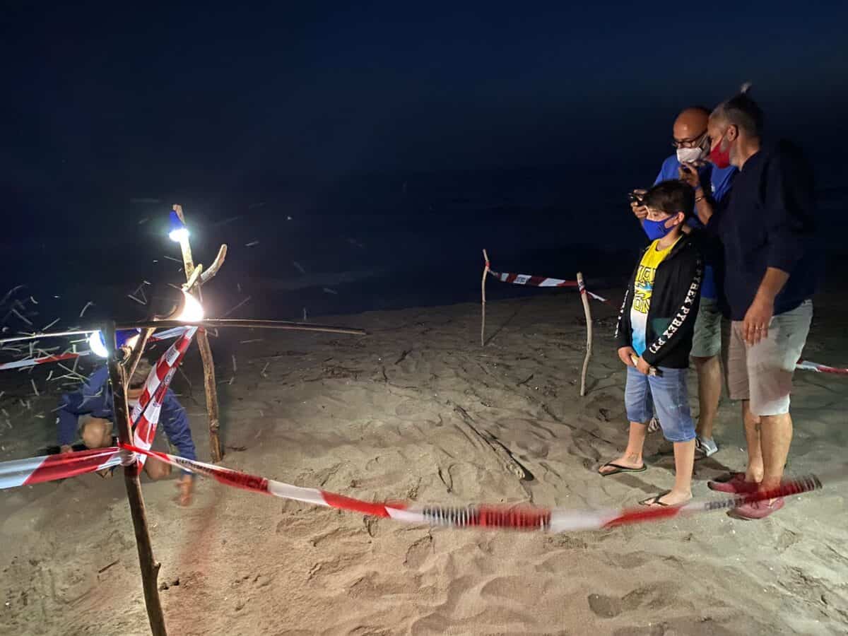 Il ritrovamento della tartaruga Caretta Caretta sulla costa di Castel Volturno