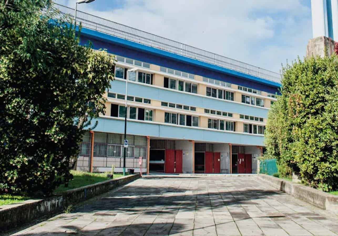 Liceo Scientifico Sbordone: "Piantiamo l’albero del ricordo e dell’eternità"
