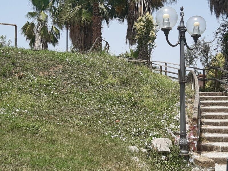 Api nel Parco urbano di San Marzano sul Sarno: la denuncia di "Noi#sempretra Voi"