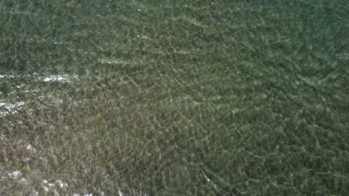 Informareonline-mare-pinetamare-3