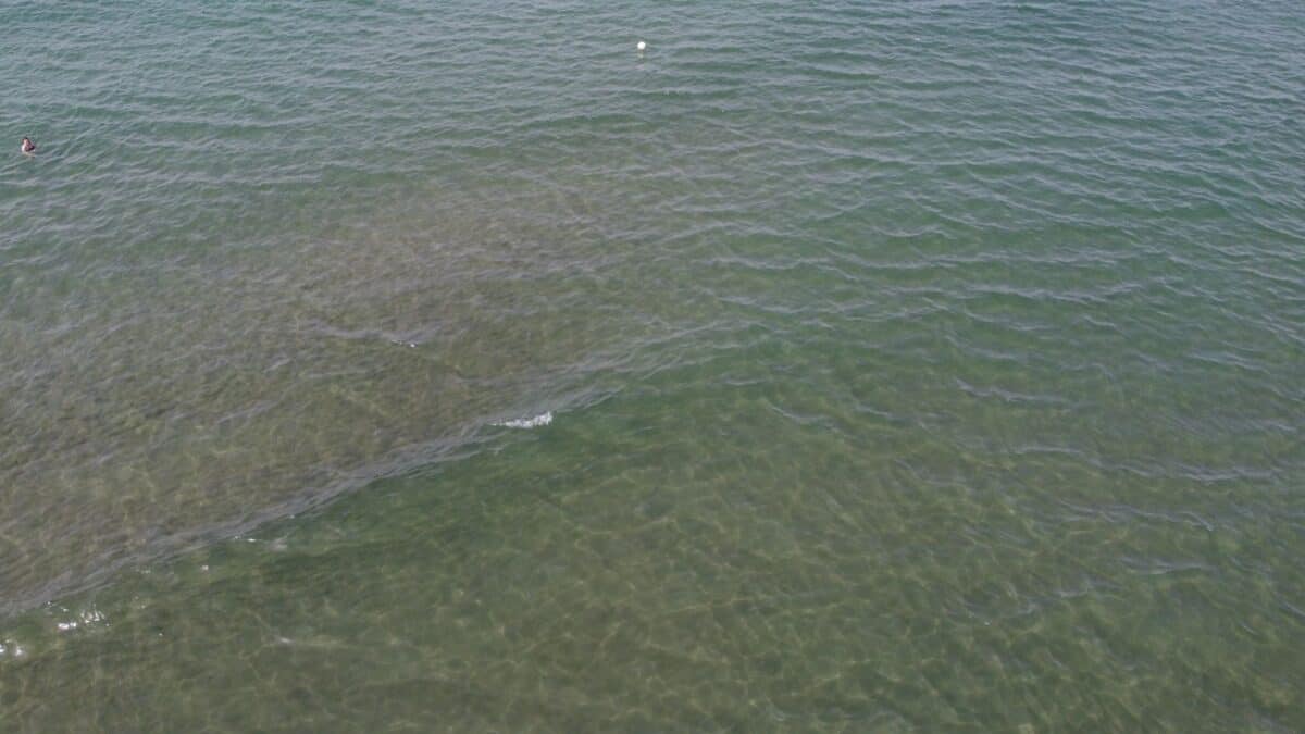 Informareonline-mare-pinetamare
